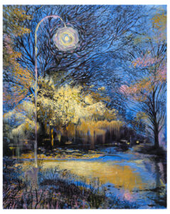 Suburban Night Magic